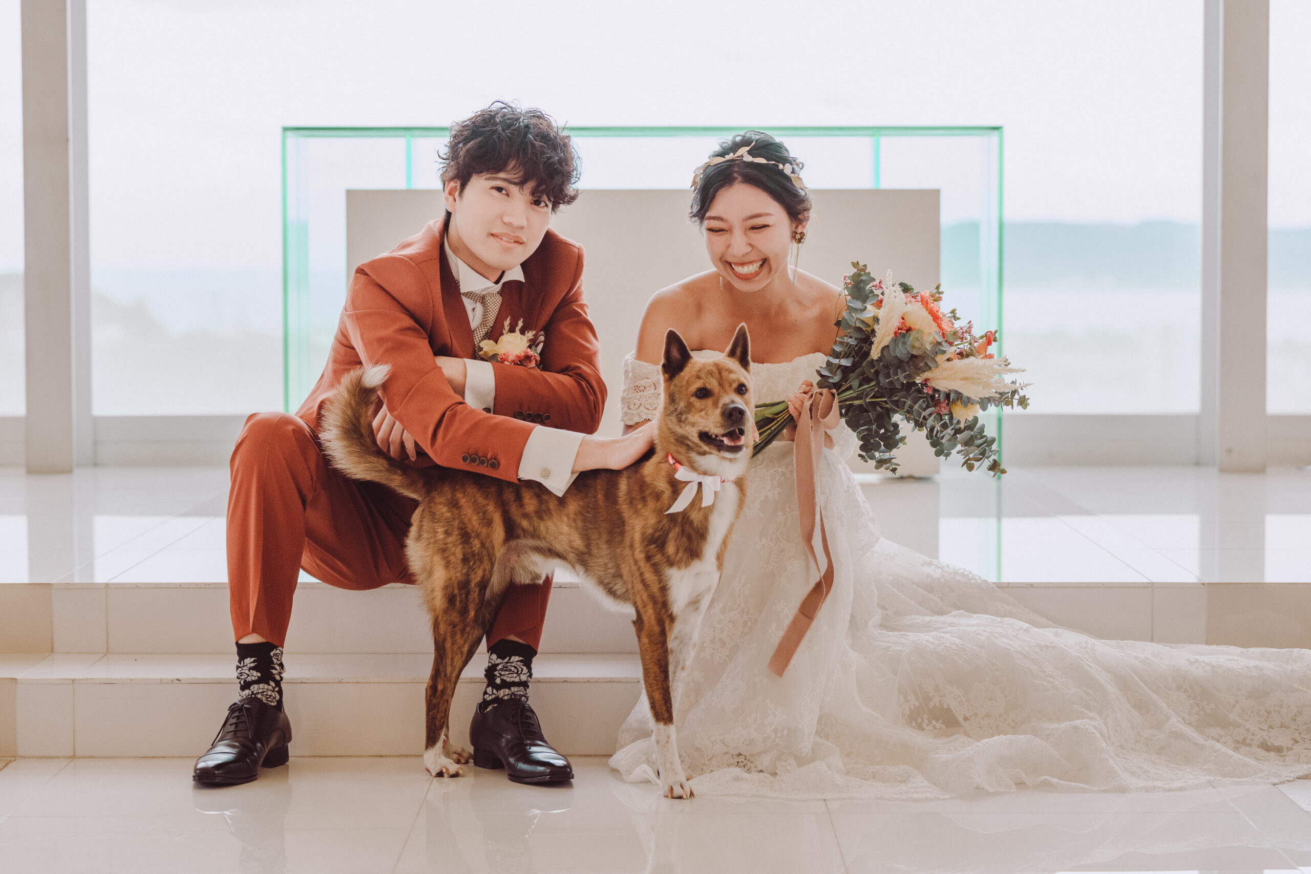 7/11 わんだふる特典付き！ペットも主役の笑顔あふれる演出満載フェア