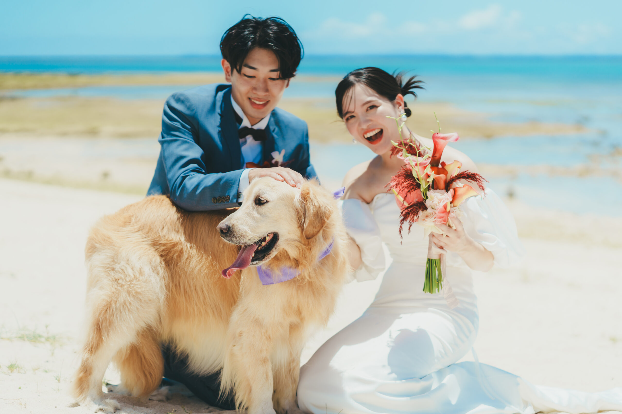 『土日時間』愛犬と叶える*オンザビーチ チャペルでDOG婚☆6/7