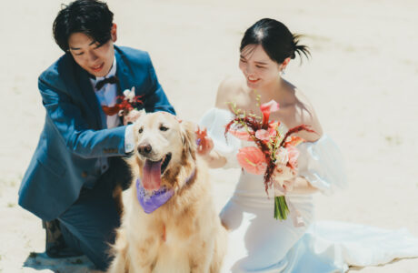 愛犬とともに、海辺で迎える新たな門出