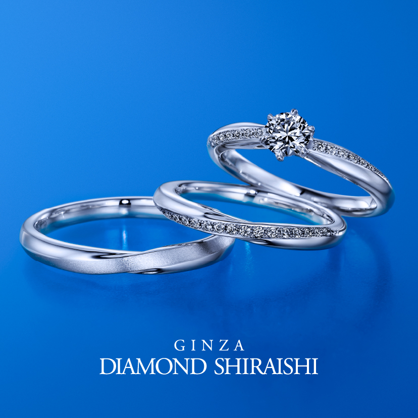 ★NEW★【Infinity Plants インフィニティ プランツ】SET